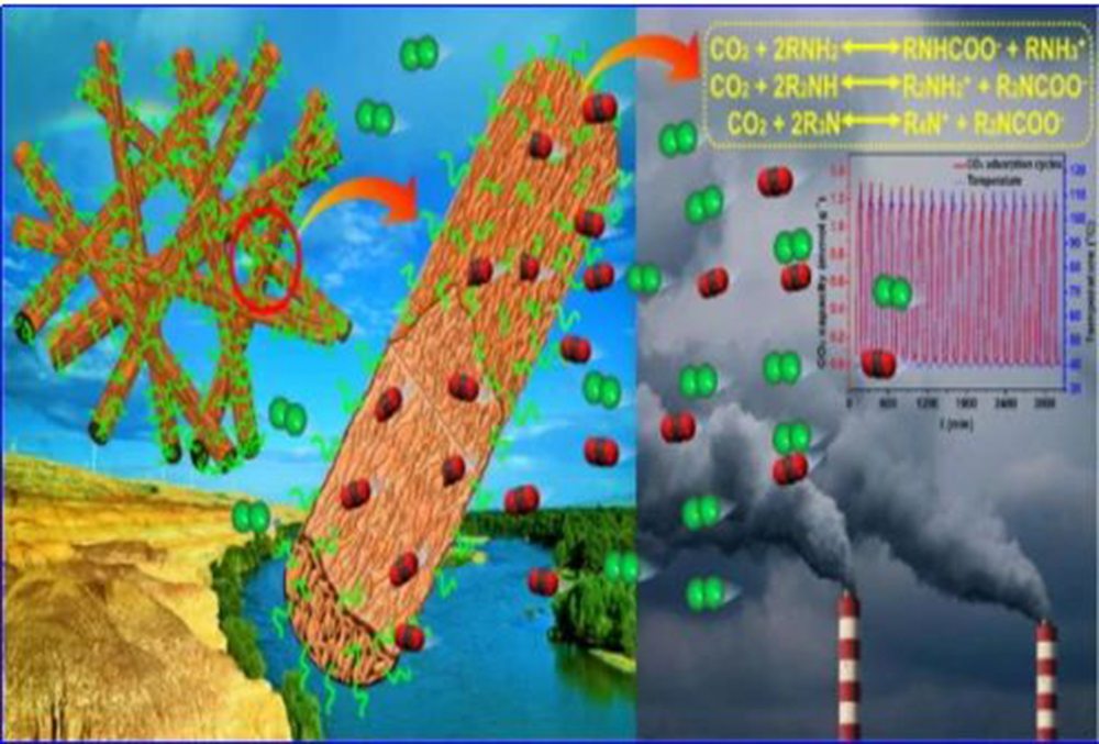 Связь между мембраной и CO2